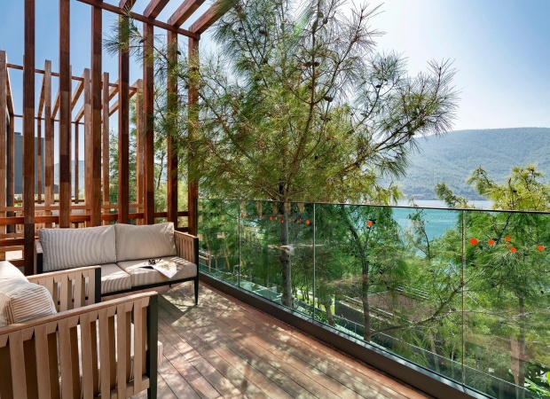 Forest Suite