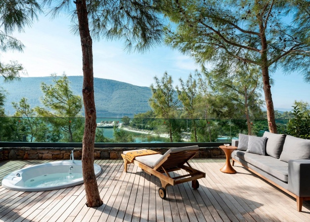 Forest Suite