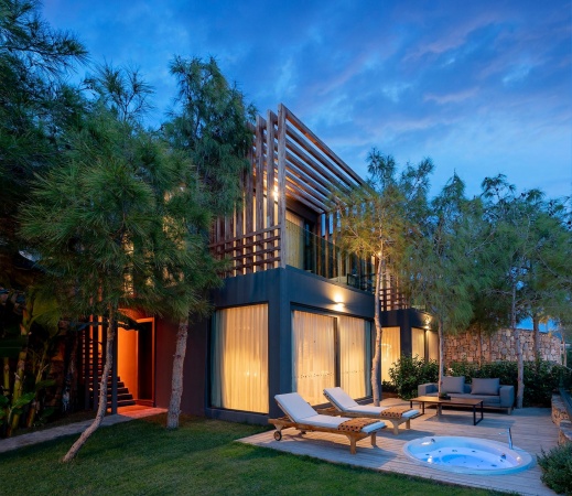 Forest Suite
